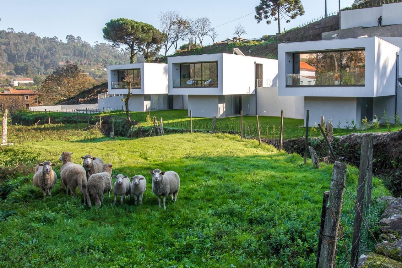Viana Do Castelo - Amonde Village - Casa L - Disfrute Da Natureza Exterior photo